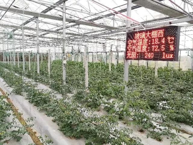 微信图片_20190811091018.jpg