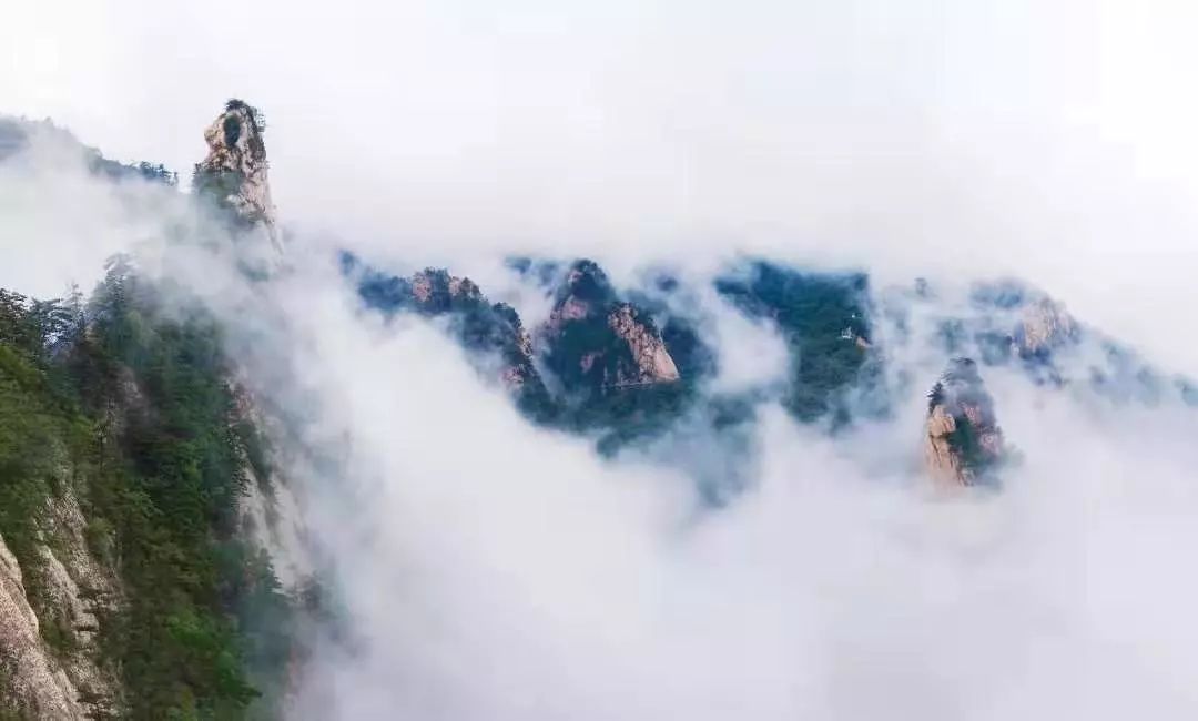 微信图片_20190822084557.jpg