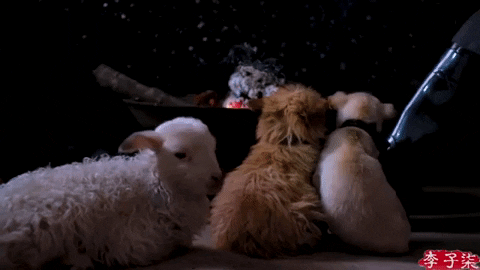 640 (1).gif