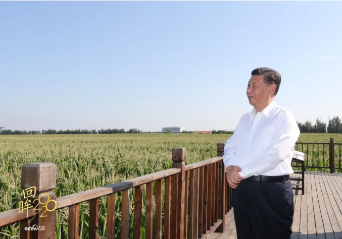 1610100915832254.png 微信截图_20210108181455.png