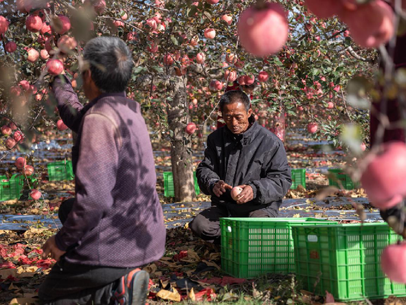 微信图片_20210226090604.png