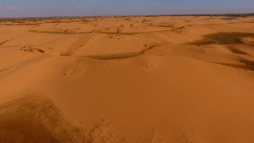 微信图片_20210315100721.gif
