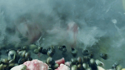 微信图片_20210427143143.gif