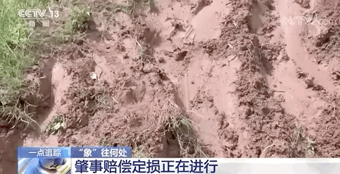 微信图片_20210623160529.gif