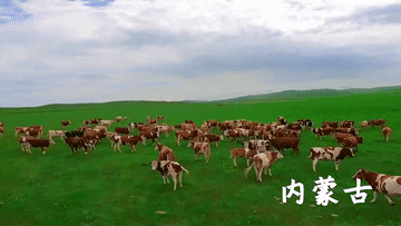 微信图片_20210830174852.gif