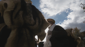 微信图片_20210830174930.gif