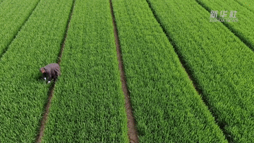 微信图片_20210926082114.gif