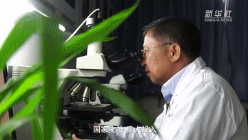 微信图片_20210926082119.gif