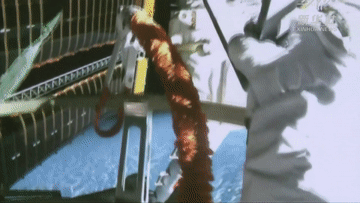 微信图片_20210926082146.gif