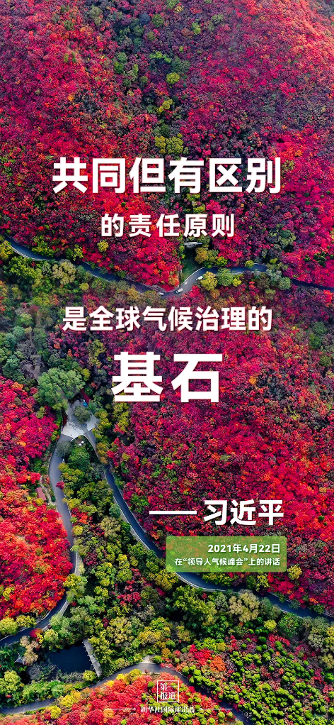 51e3ae6f17369c3fb957849b1519cc05.png