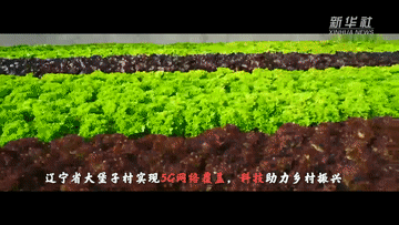 微信图片_20211227083012.gif