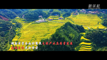 微信图片_20211227083016.gif